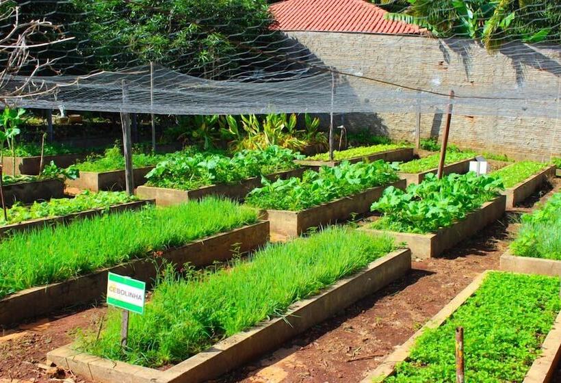 ホテル Estancia Park