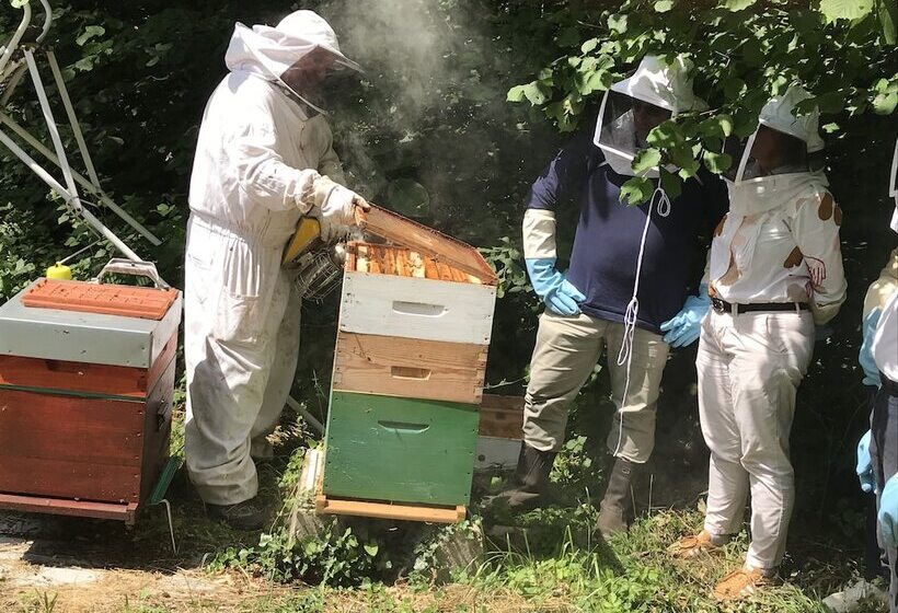 בית מלון כפרי Domaine St Germer