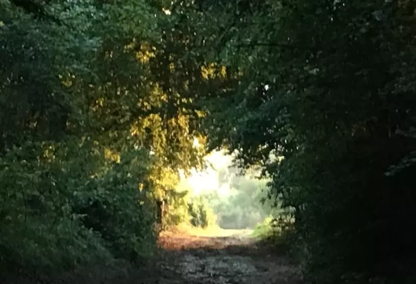 ホテル Domaine St Germer