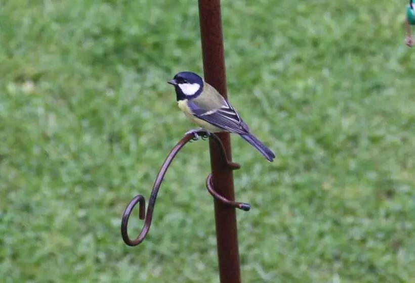 Riverfield Bed And Breakfast