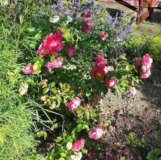 Riverfield Bed And Breakfast