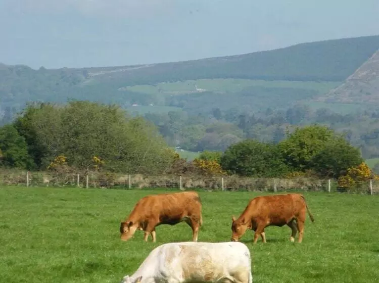 Riverfield Bed And Breakfast