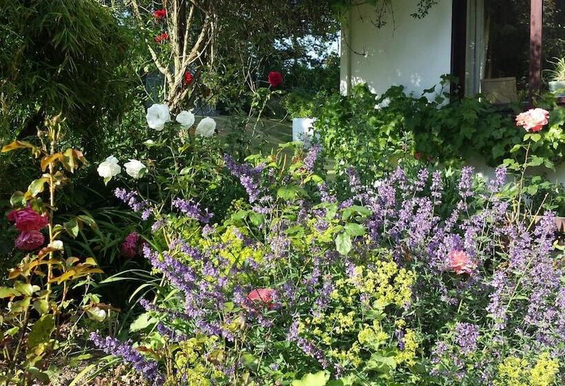 Riverfield Bed And Breakfast