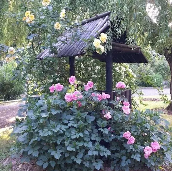 Riverfield Bed And Breakfast