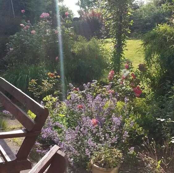 Riverfield Bed And Breakfast