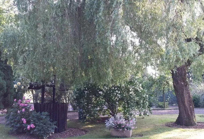 Riverfield Bed And Breakfast