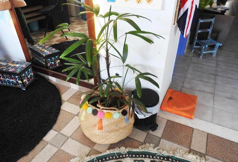 پانسیون Soul Hostel Natal