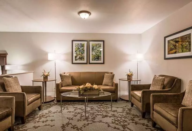 호텔 Best Western Black Hills Lodge