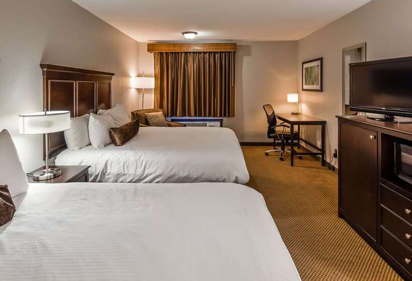 فندق Best Western Black Hills Lodge