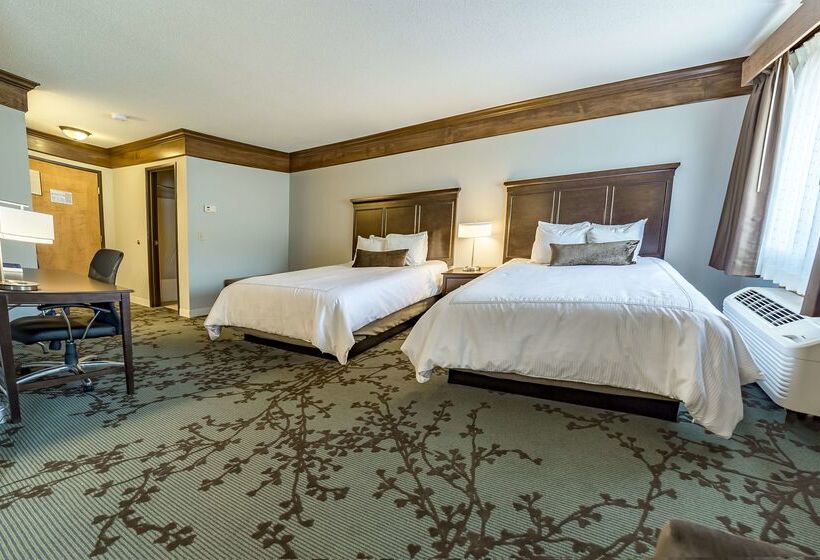 فندق Best Western Black Hills Lodge