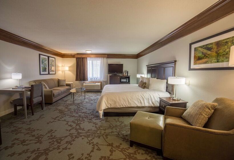 فندق Best Western Black Hills Lodge