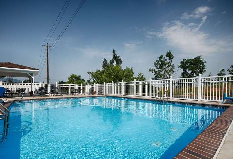 فندق Best Western Black Hills Lodge
