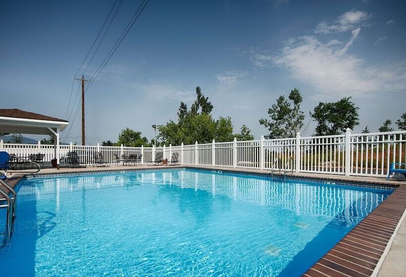 فندق Best Western Black Hills Lodge