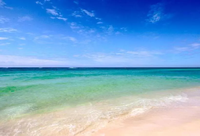 Отель Inn At St Thomas Square