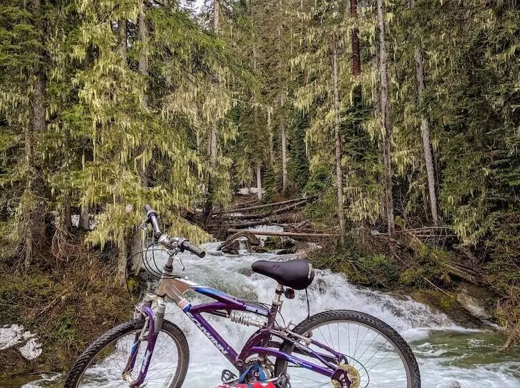 酒店 Loge Glacier National Park