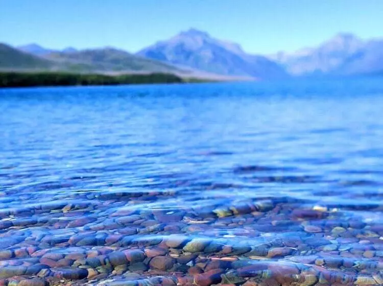 酒店 Loge Glacier National Park