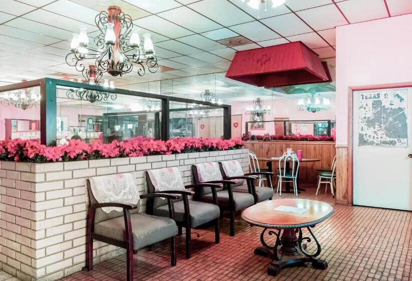 Otel Kings Inn Scottish Inn Alice