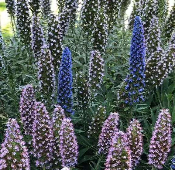 酒店 The Inn At The Tides