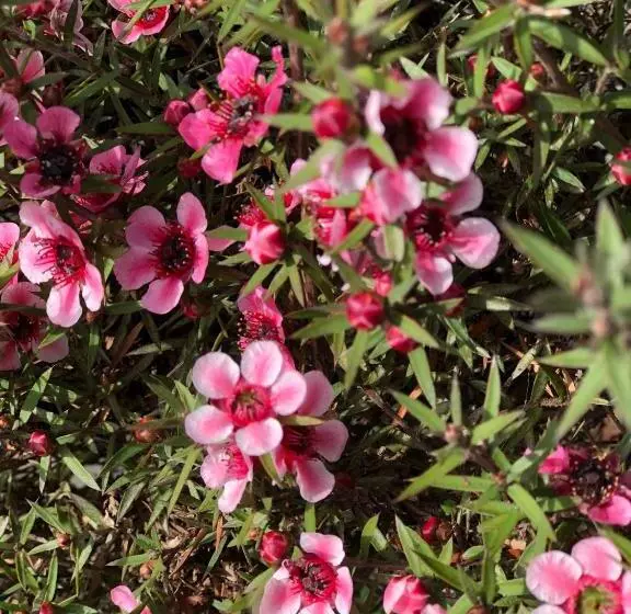 酒店 The Inn At The Tides