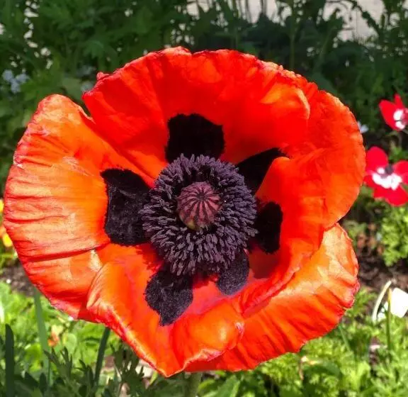 酒店 The Inn At The Tides