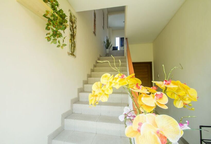 تختخواب و صبحانه Anindya Sanur