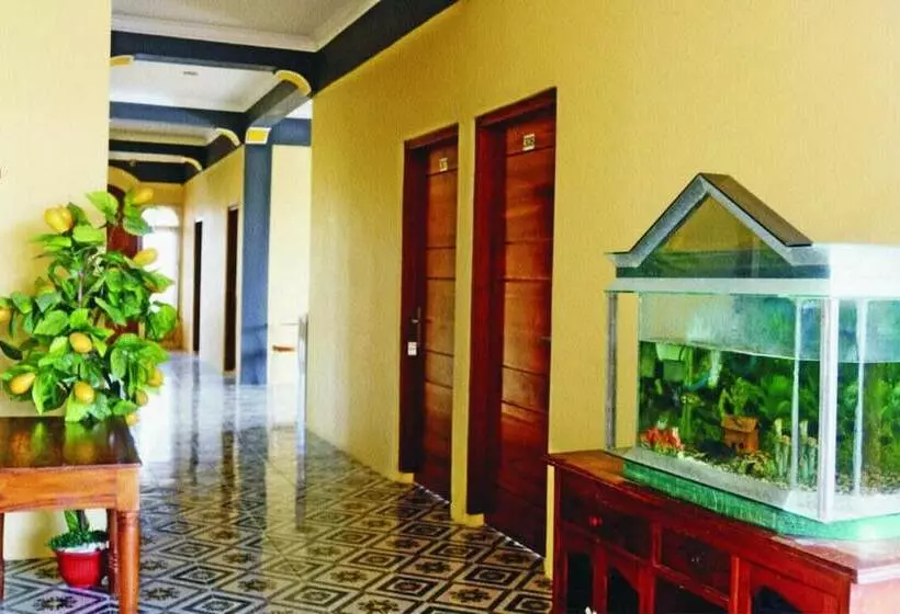 Fifawind Hotel Komodo