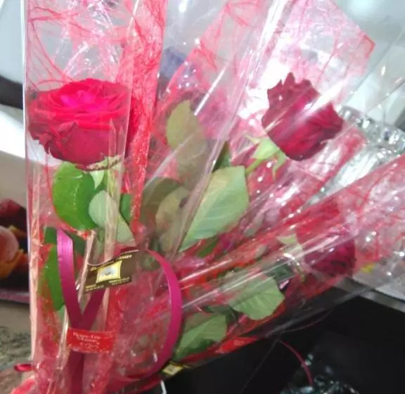 Hotelli Hôtel Du Parc