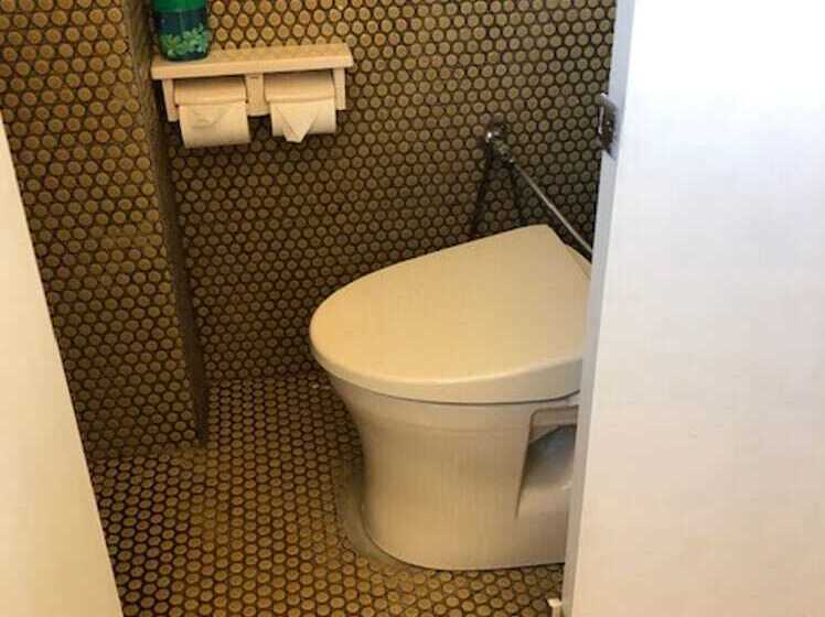 فندق Daisen Midorisou