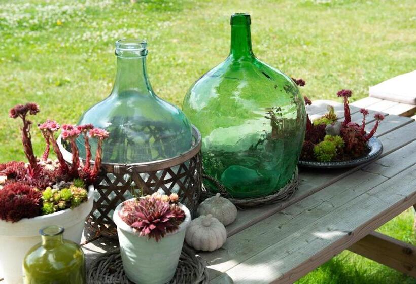 Отель Hof Van Renesse