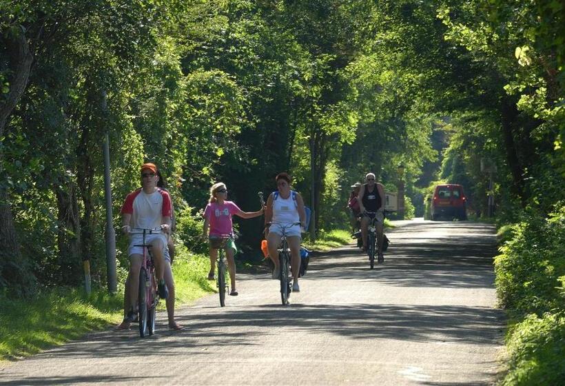 Отель Hof Van Renesse