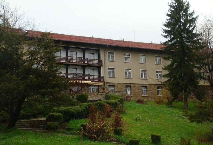 Balneo Hotel Lyulyatsi