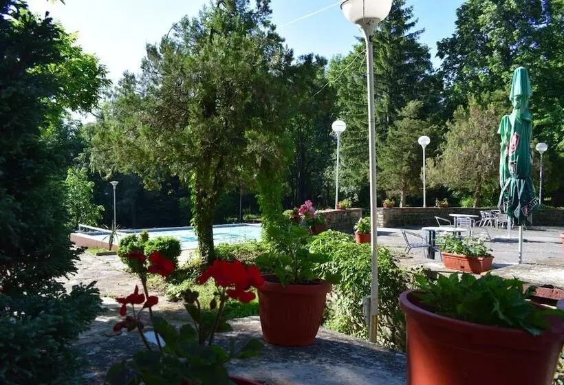 Balneo Hotel Lyulyatsi