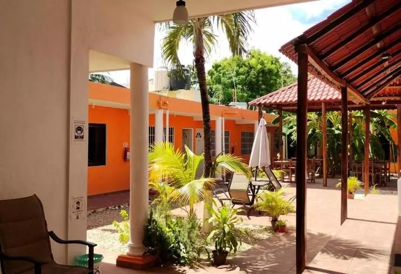 هتل Casa Ariana