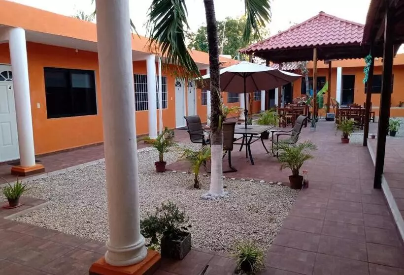 هتل Casa Ariana