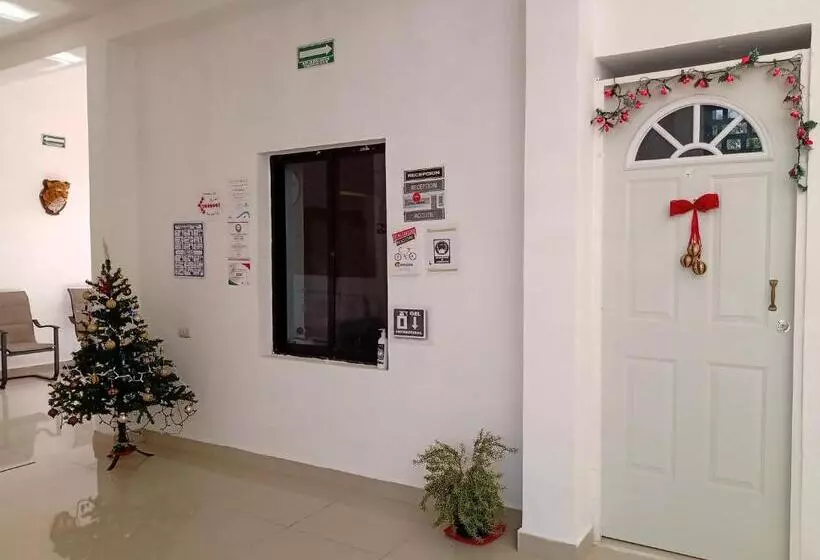 هتل Casa Ariana