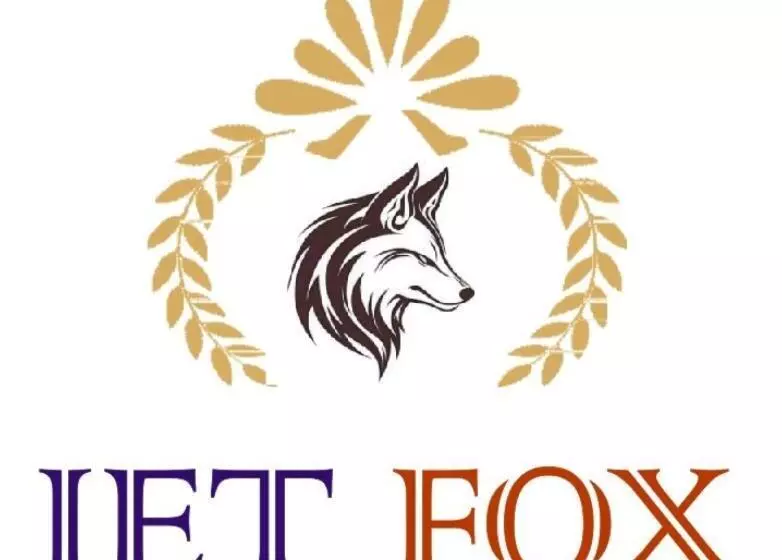 Jet Fox By Aero View Hotel, Delhi Airport