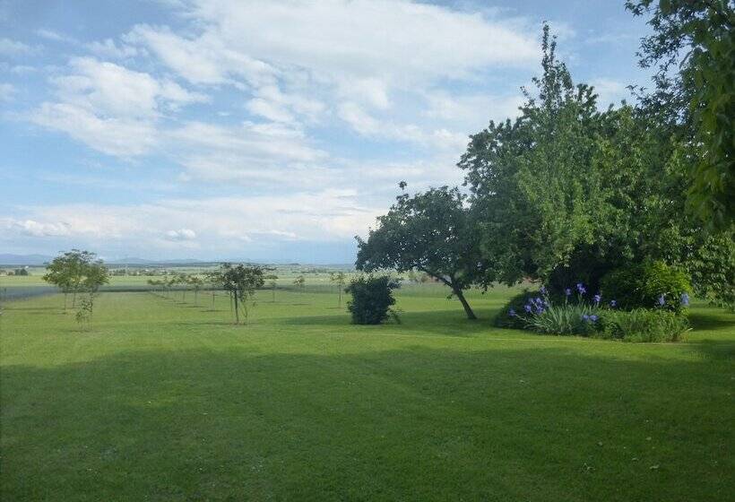 膳宿费 La Maison De Barbara