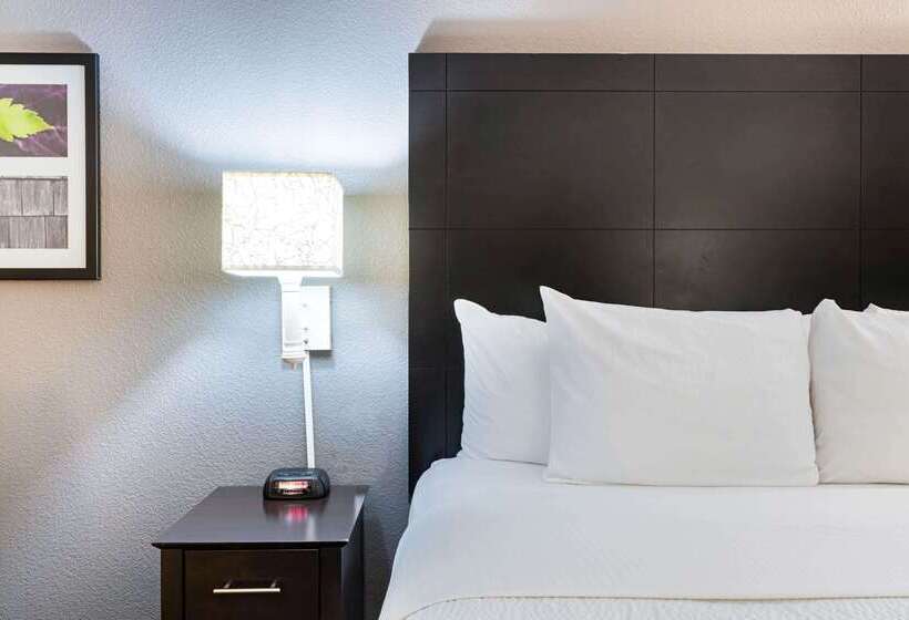 فندق La Quinta By Wyndham Mesa Superstition Springs