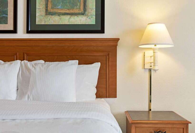 ホテル La Quinta By Wyndham Round Rock North