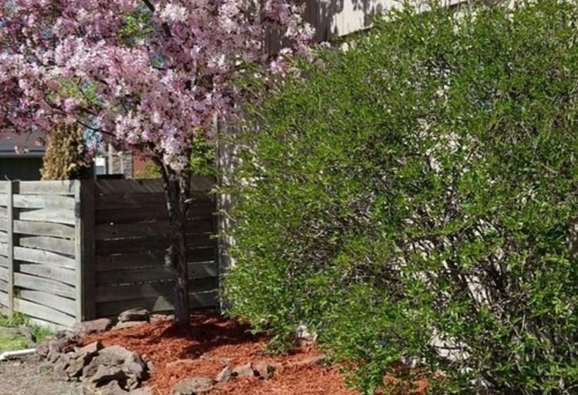 Отель Lakeshor Motor Inn