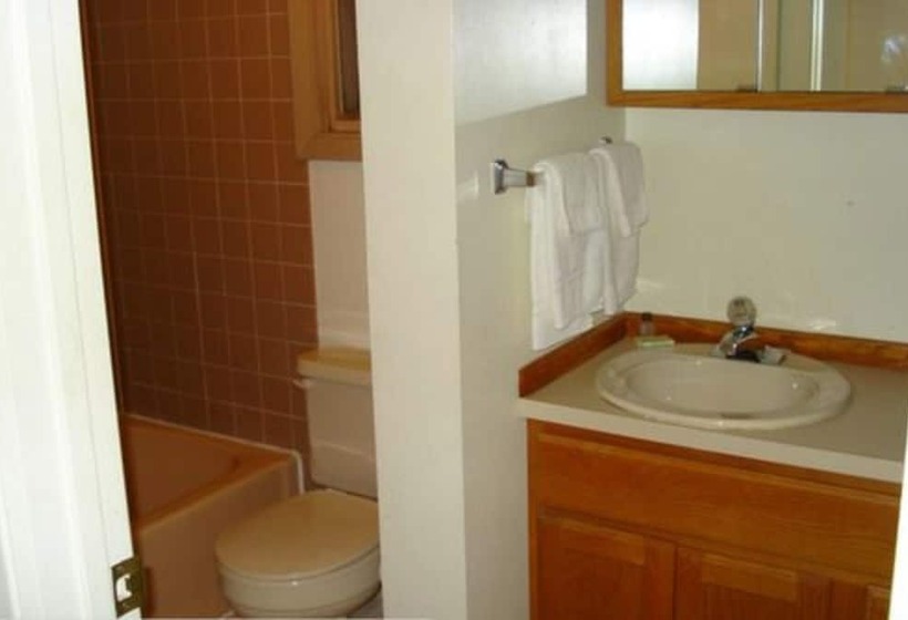 Отель Lakeshor Motor Inn