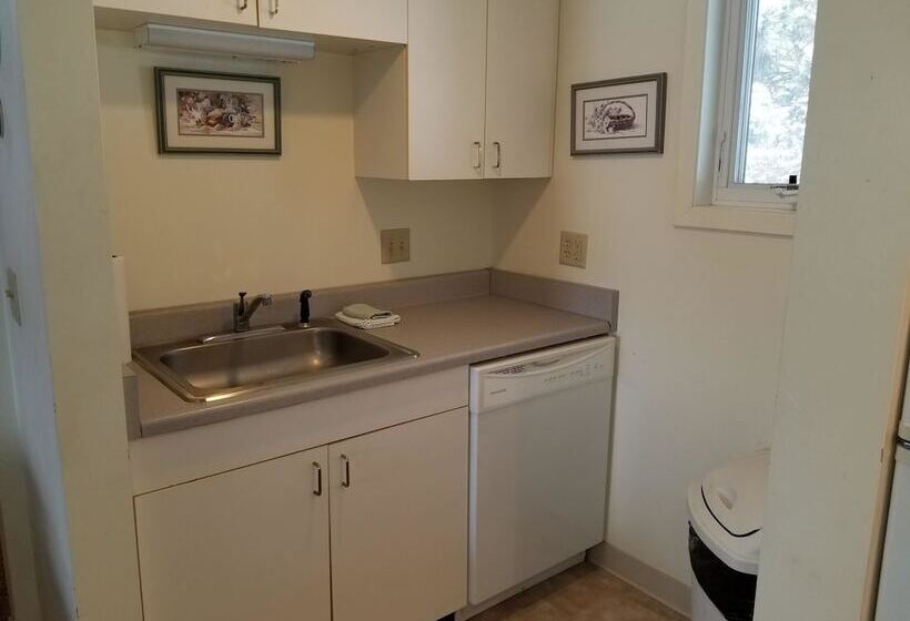 Отель Lakeshor Motor Inn