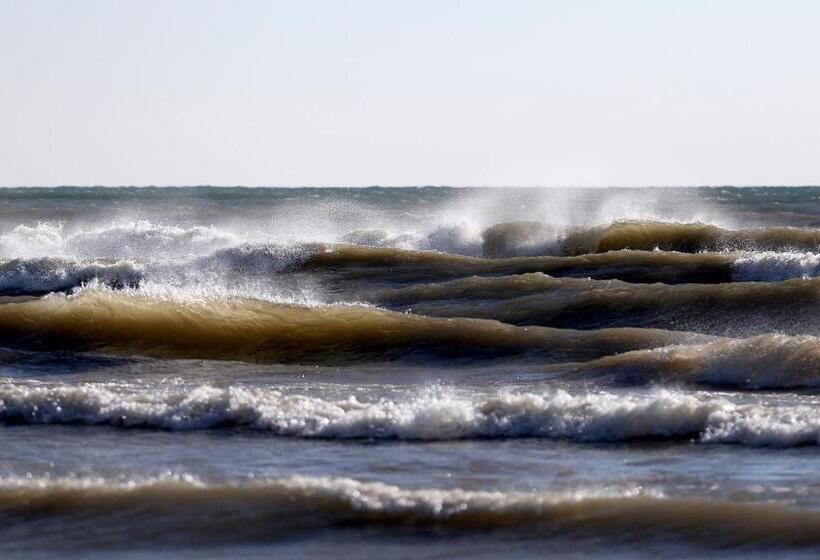 فندق Lighthouse Inn Two Rivers