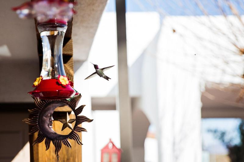 فندق Los Viajeros Inn