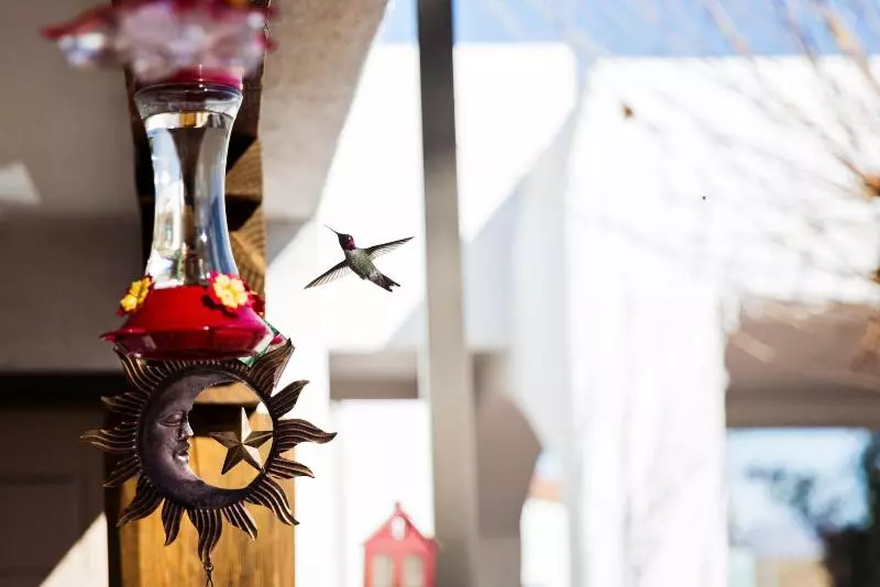 فندق Los Viajeros Inn