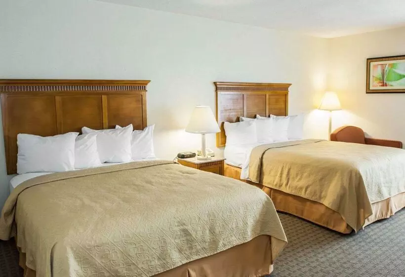 ホテル Quality Inn And Suites Indianapolis