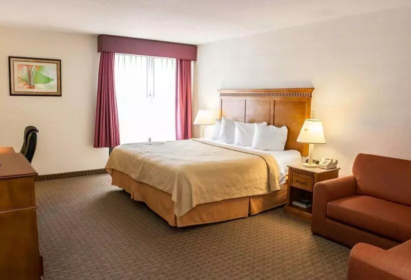ホテル Quality Inn And Suites Indianapolis