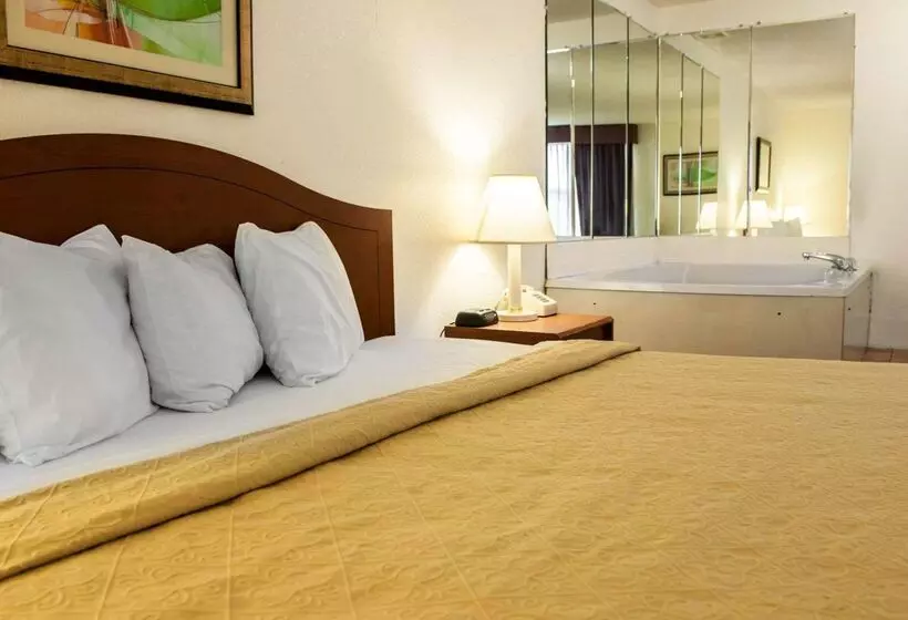 ホテル Quality Inn And Suites Indianapolis