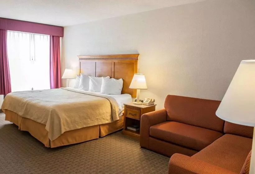 ホテル Quality Inn And Suites Indianapolis