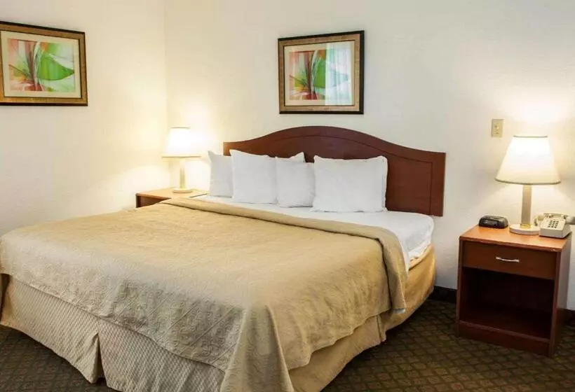 ホテル Quality Inn And Suites Indianapolis